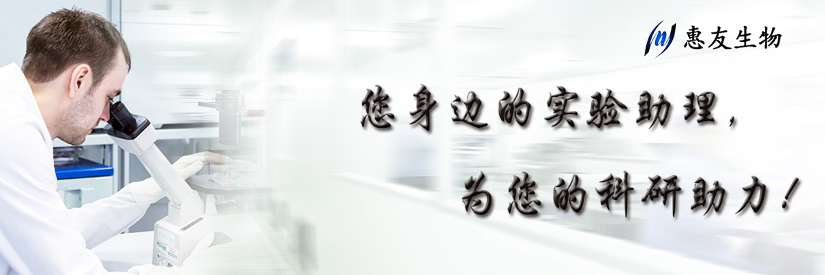 通栏图片
